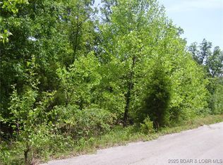 19 Silver Spur Ct, Camdenton, MO 65020