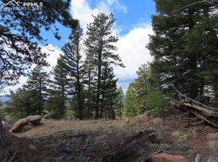 1059 Beaver Creek Dr, Florissant, CO 80816