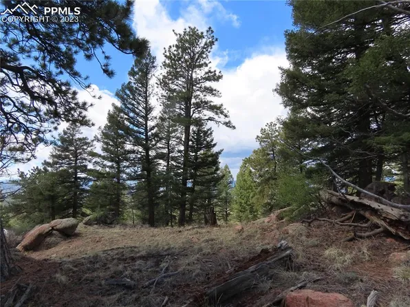 1059 Beaver Creek Dr, Florissant, CO 80816