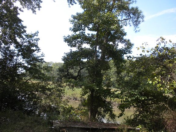 3rd image of 5591 Patricia Dr