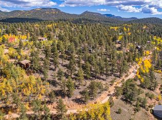 103 Gross Rd, Bailey, CO 80421