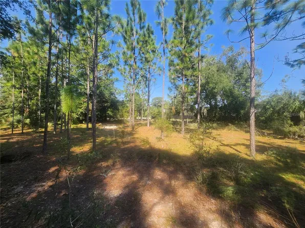 LOT 28 SE 102nd Ter Lot 28, Belleview, FL 34420
