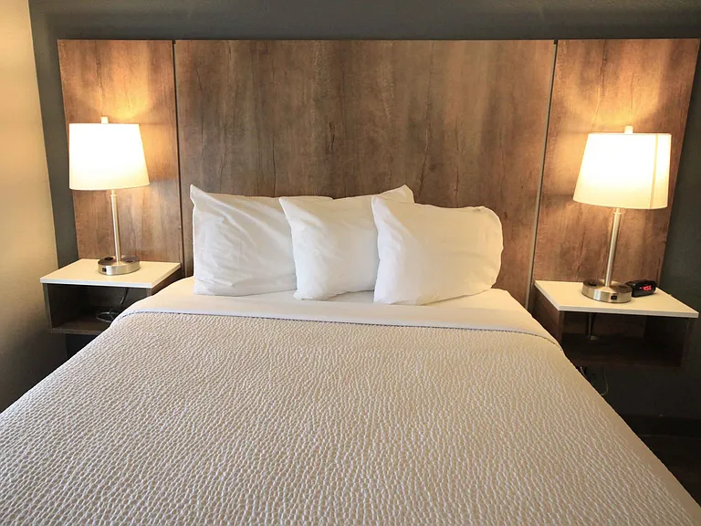Studio Suite - 1 Queen Bed