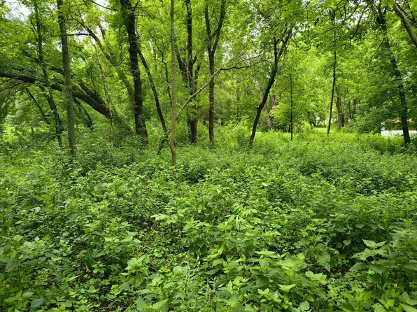 NE 4th St, Glenwood, MN 56334