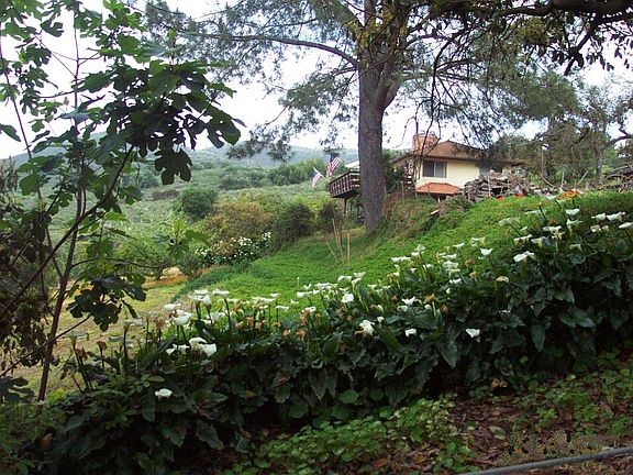  Home on1.9 fenced acres