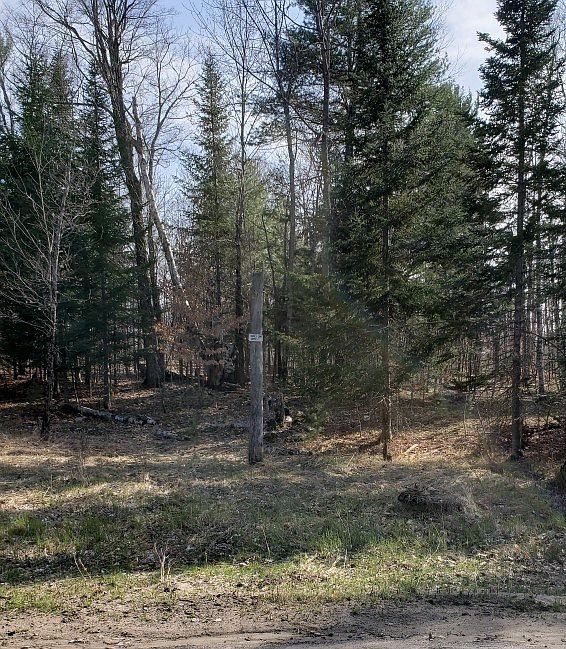 2nd image of Casier Way
