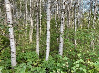 0 189th Ave, Sebeka, MN 56477