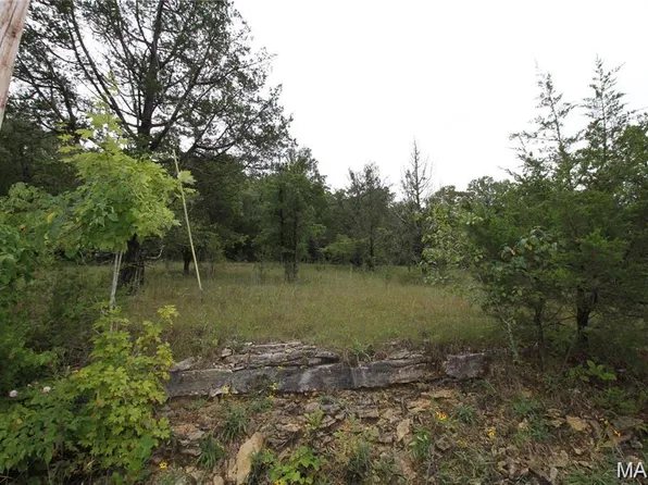 5848 Forest Dr, Hillsboro, MO 63050