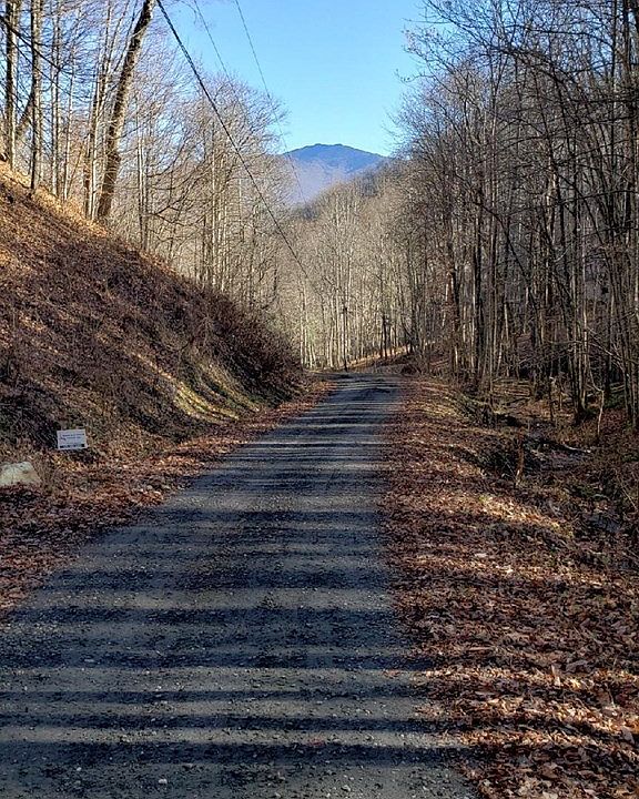 Melton Branch Rd, Bakersville, NC 28705 Zillow