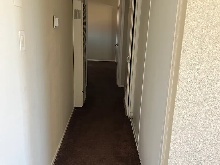 505 Palm Dr — Photo 9