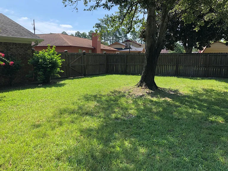 Backyard left side