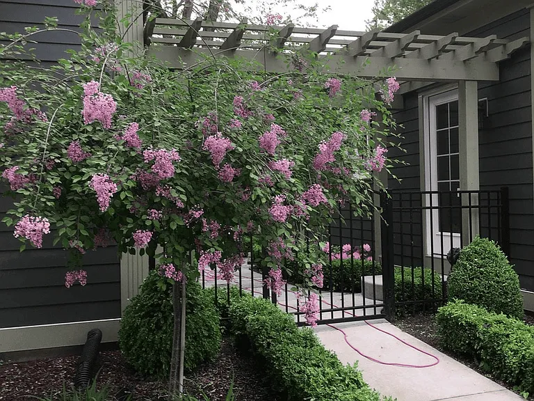 201 Heirloom Dr — Photo 31