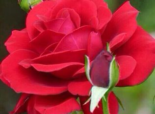 1703 High Ridge Rd, Lake Worth, FL 33461