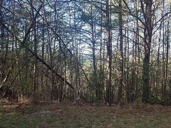 3rd image of 147 Little Mountain