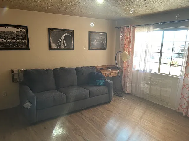1 bed, 450 sqft, $900 — Photo 4