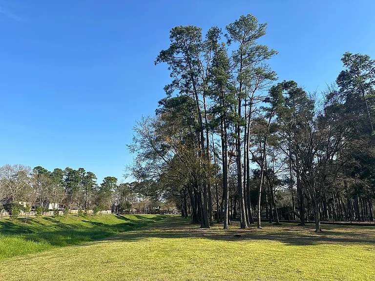 15126 Forest Lodge Dr — Photo 33