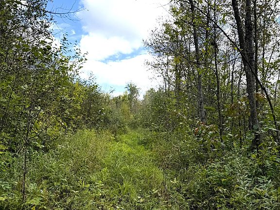 4th image of Easement