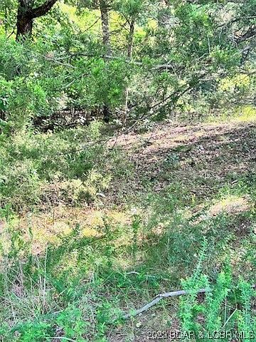 2nd image of 1 Briarcliff Rd