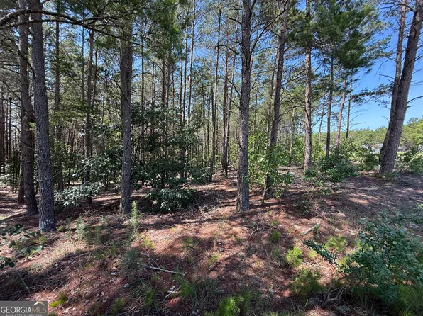 Jackson Rd, Roberta, GA 31078