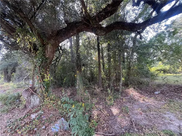 Martin Luther King Ave, Hammond, LA 70401
