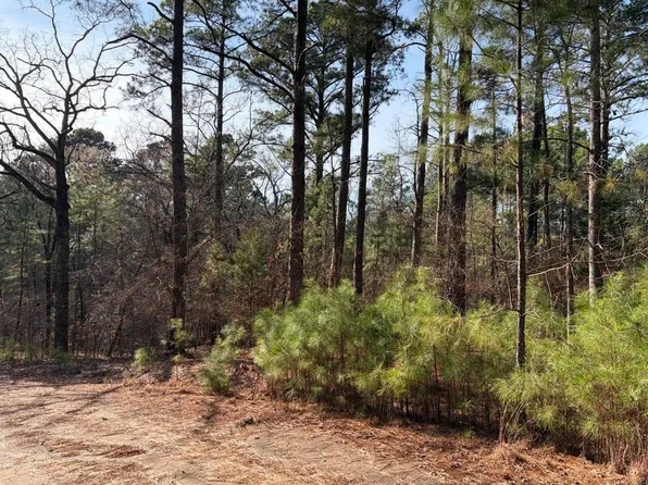 Lots 144 & 145 Silver Oaks Dr, Flint, TX 75762