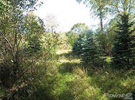 1st image of 10505 Rolling Oak Dr