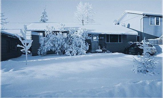 front yard, early '06.