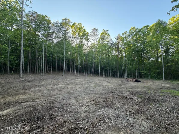 Long Branch Ct, Allardt, TN 38504