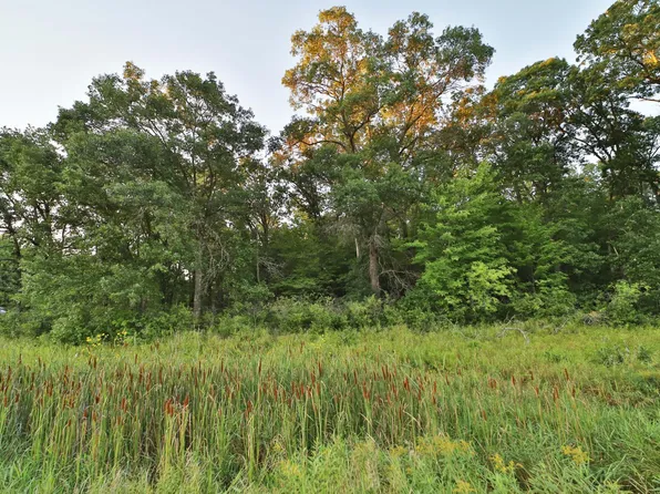 330th St, Motley, MN 56466