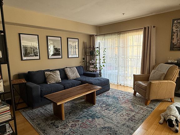 Large living room, lots of light!