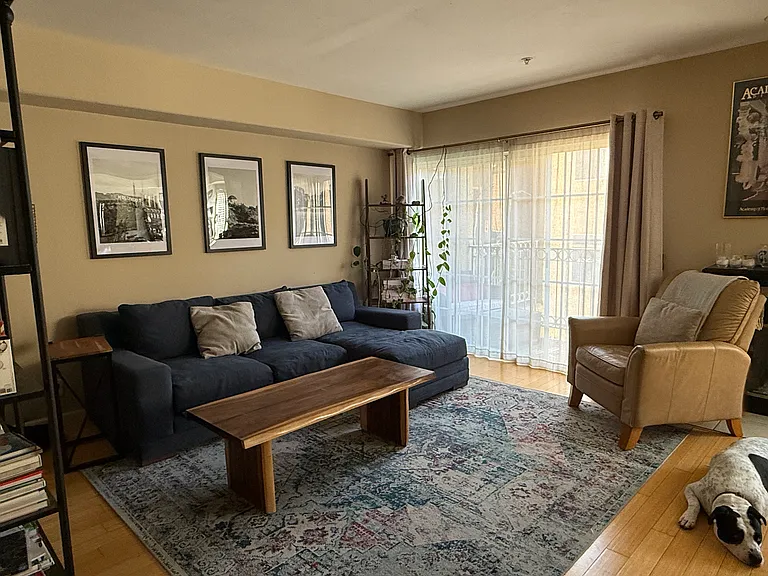 Large living room, lots of light!