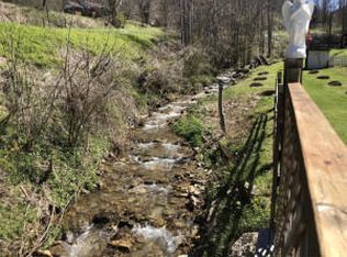 0 Old Asheville Hwy, Flag Pond, TN 37657