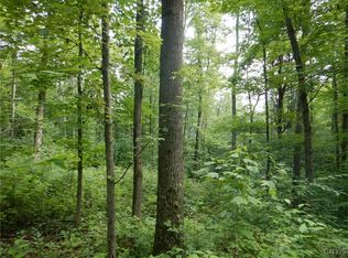 0 Starks Rd, Newfield, NY 14867