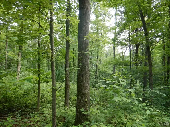 0 Starks Rd, Newfield, NY 14867