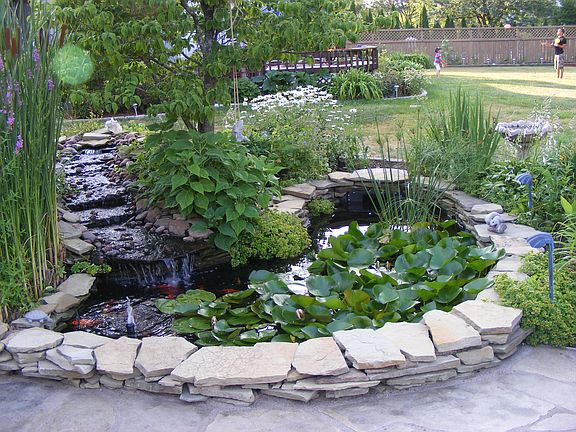 Water Garden