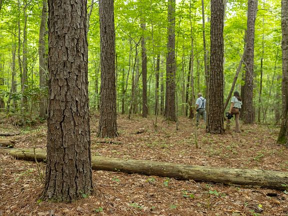 3rd image of Truesdale Rd