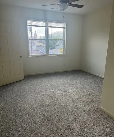 114 Henry Ave — Photo 4
