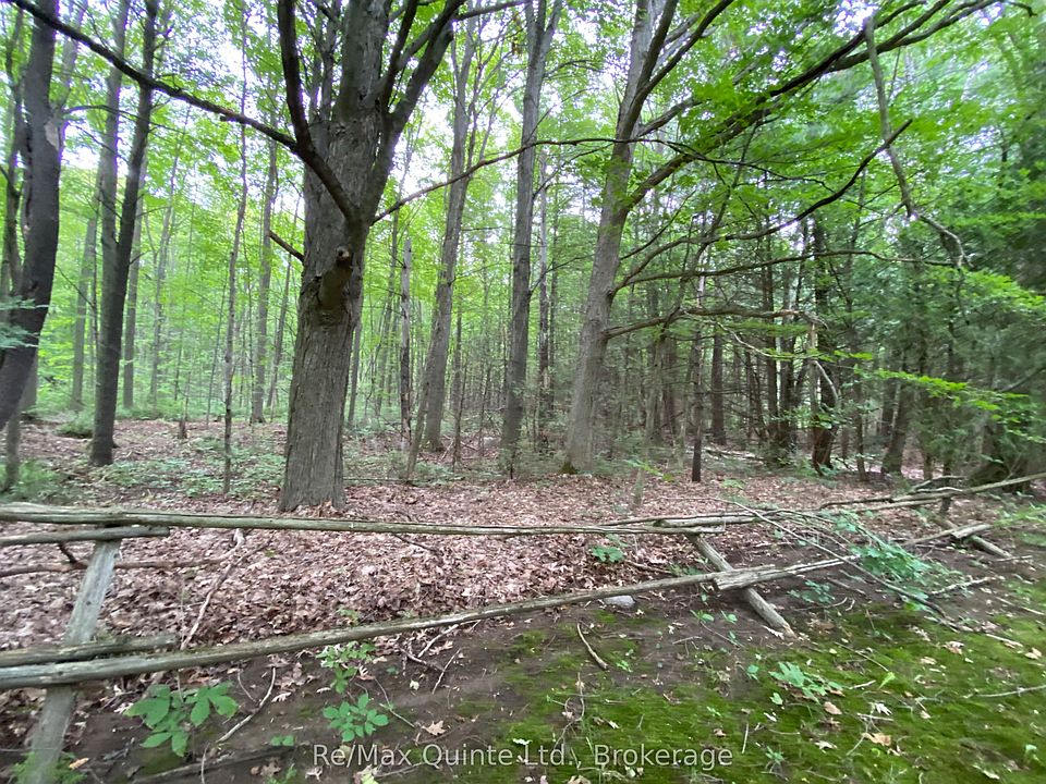 1st image of 0 County Road 30