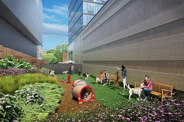 Rented by Red Apple Group