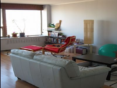 1st image of 1455 N Sandburg Ter APT 2906