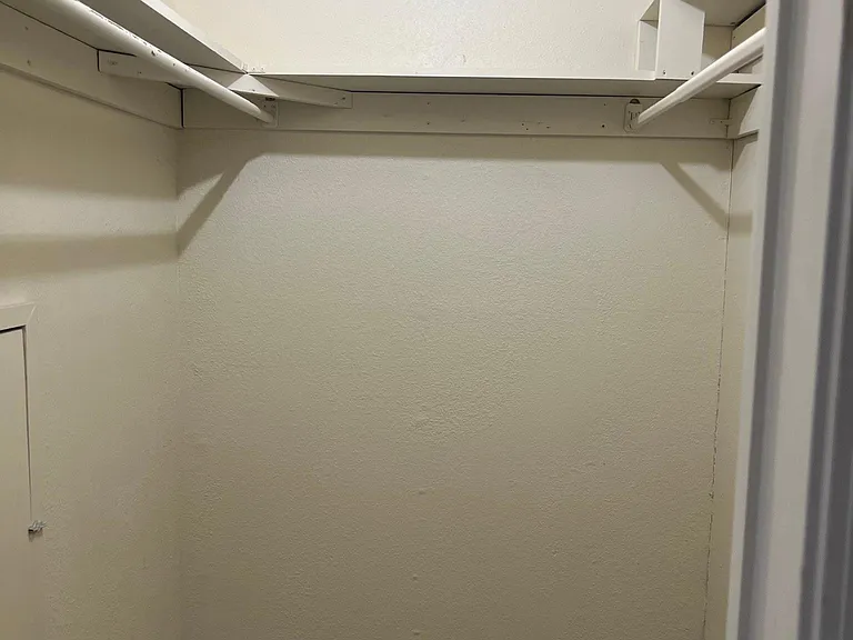 Master walk in closet