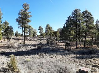 2789 Sky Hawk Dr, Overgaard, AZ 85933