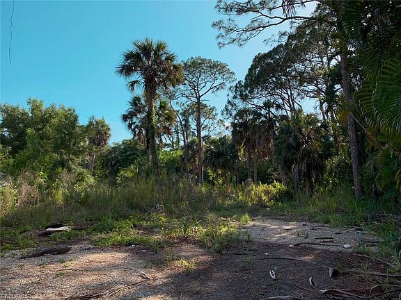 2nd image of 28033 Oak Ln Lot 56