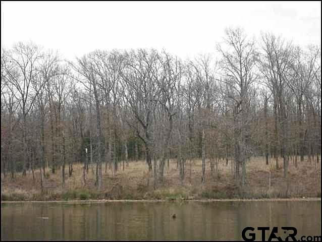 2nd image of LOT 22 County Road 1953