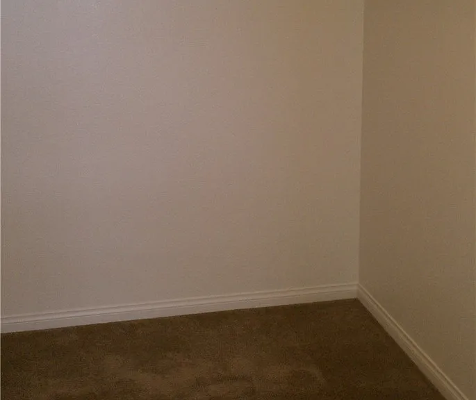 5493 Ovando Way — Photo 13