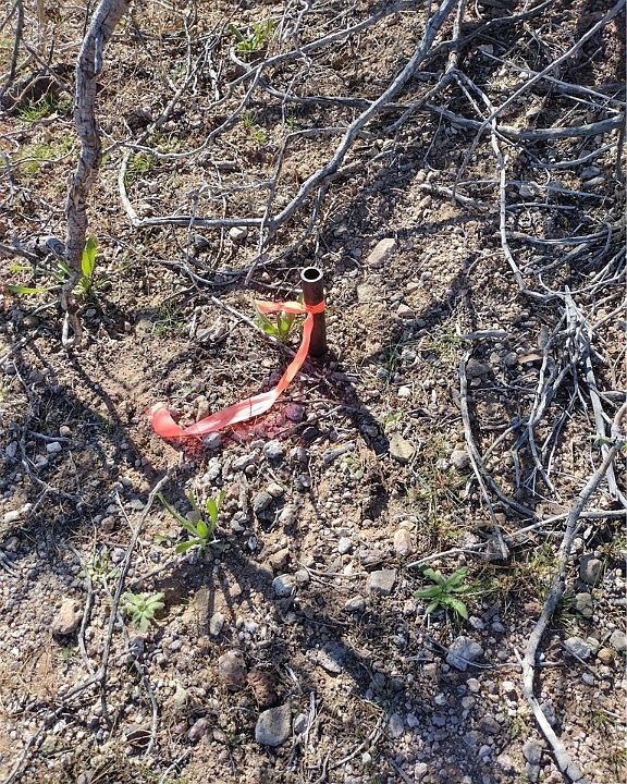 2nd image of 3948 S Ponderosa Road