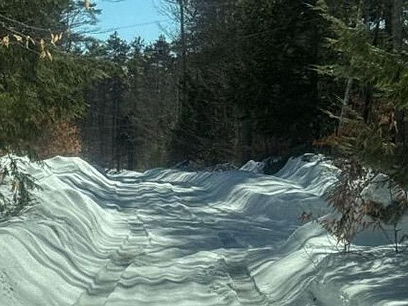 4th image of 31 The Elm Rd