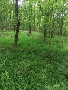 468 Adams Rd, Ardmore, TN, 38449