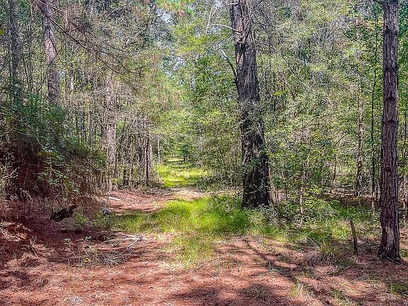 Compass South Land Sales Louisiana Frank Lapere Creek 2 5