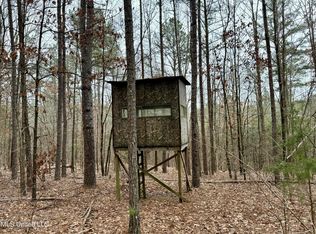 Laws Hill Rd, Holly Springs, MS 38635